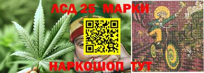 индика Лесосибирск