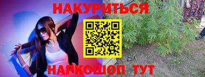 индика Лесосибирск