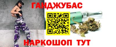 индика Лесосибирск
