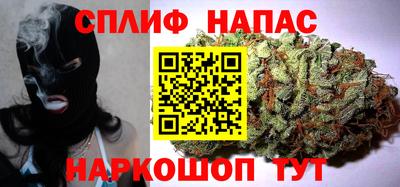 индика Лесосибирск